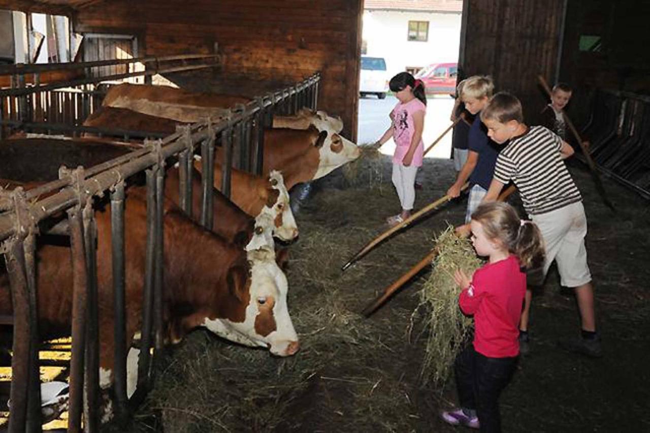 Exenbacher Hof Traumbauernhaus S'Haisl Arnbruck Bagian luar foto