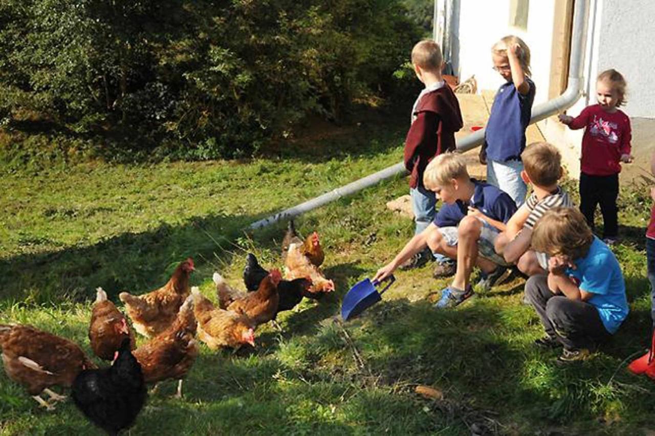 Exenbacher Hof Traumbauernhaus S'Haisl Arnbruck Bagian luar foto